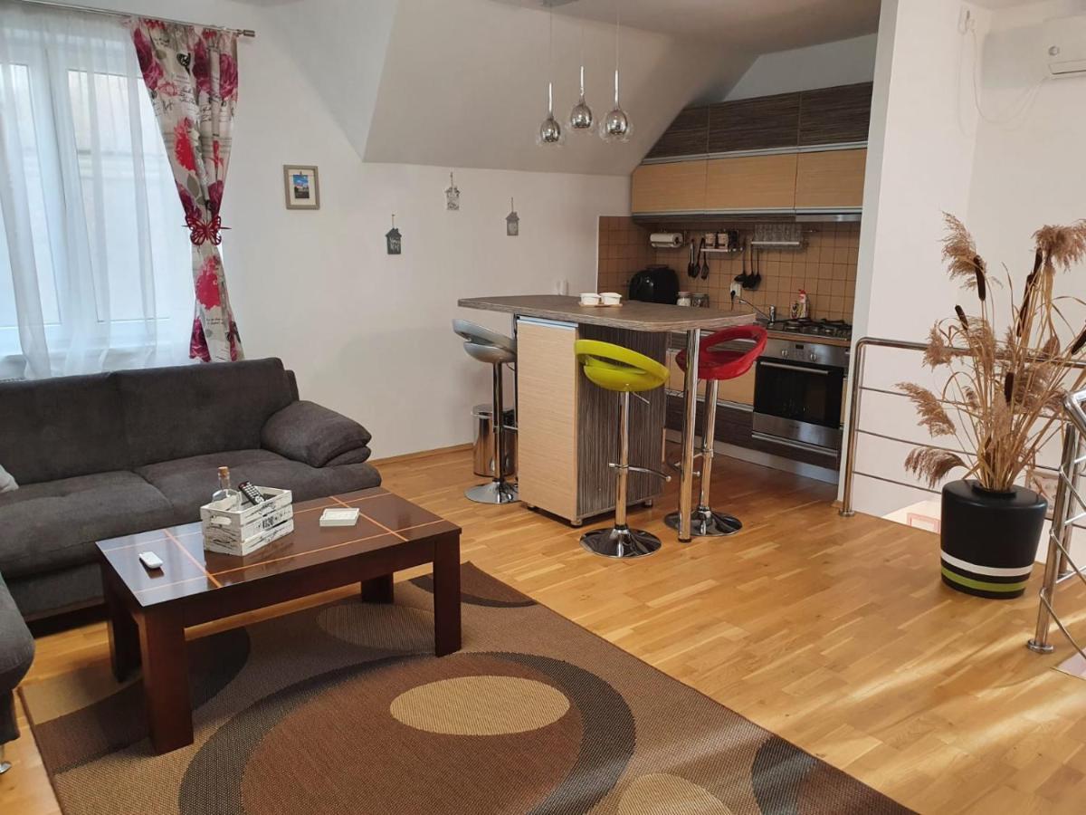 Smiley Apartment Sibiu Exterior photo