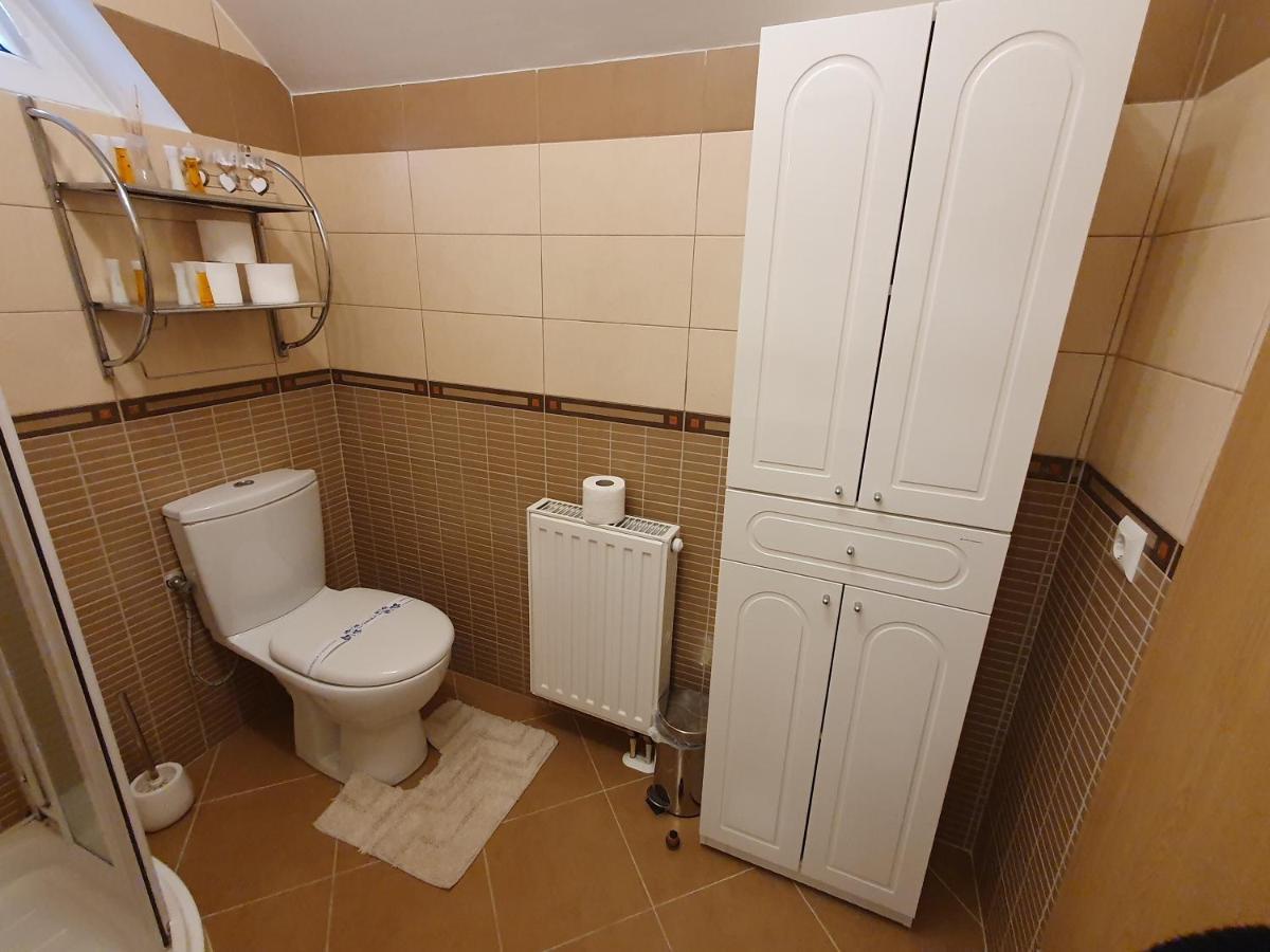 Smiley Apartment Sibiu Exterior photo